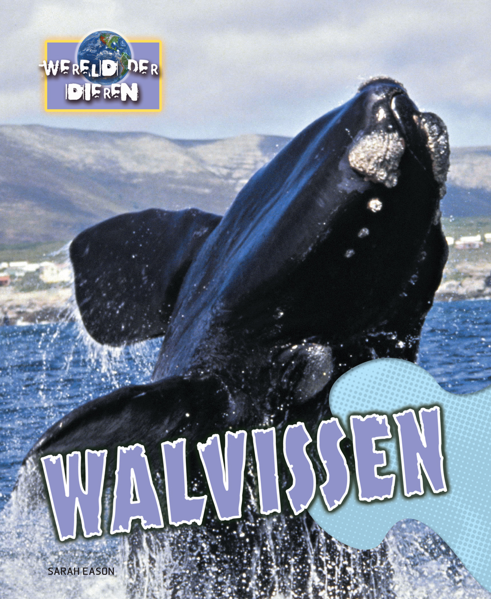 CNBWDD006 Walvissen