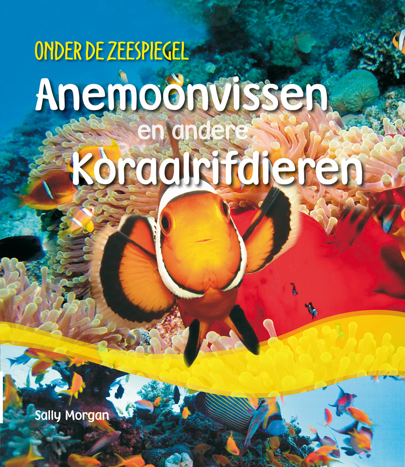 CNBODZ001 Anemoonvissen en andere Koraalrifdieren