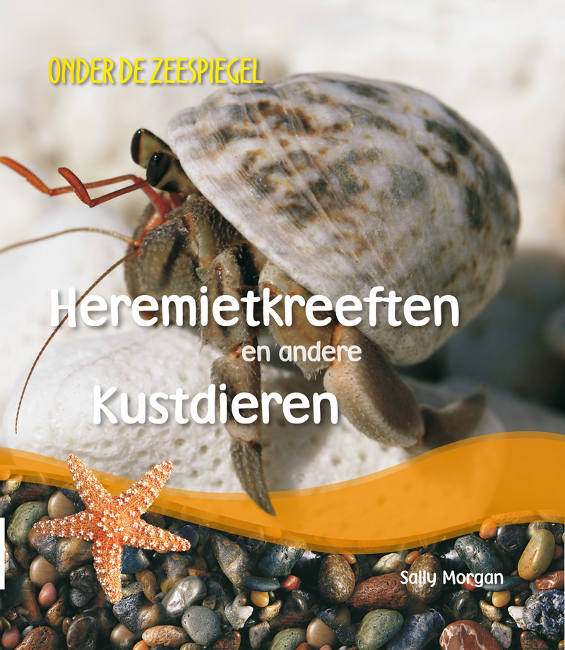 CNBODZ002 Heremietkreeften en andere kustdieren