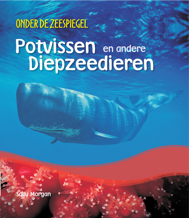 CNBODZ003 Potvissen en andere diepzeedieren