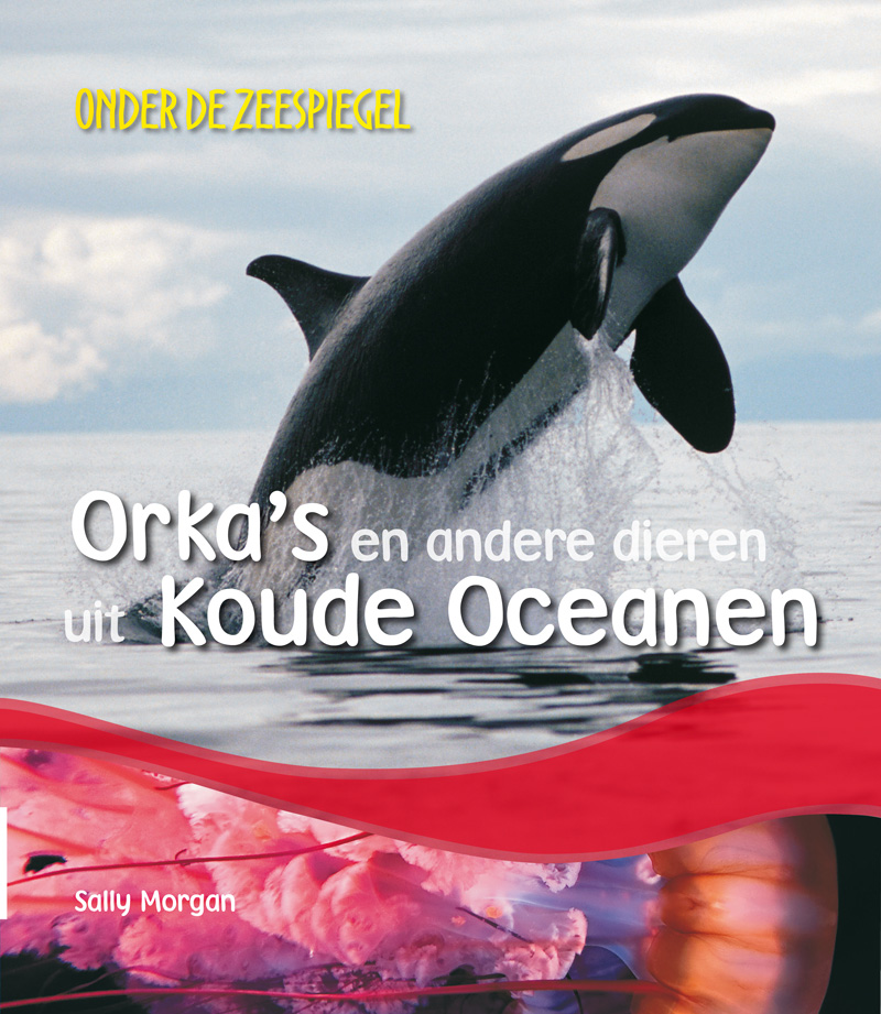 CNBODZ004 Orka's en andere dieren uit koude oceanen