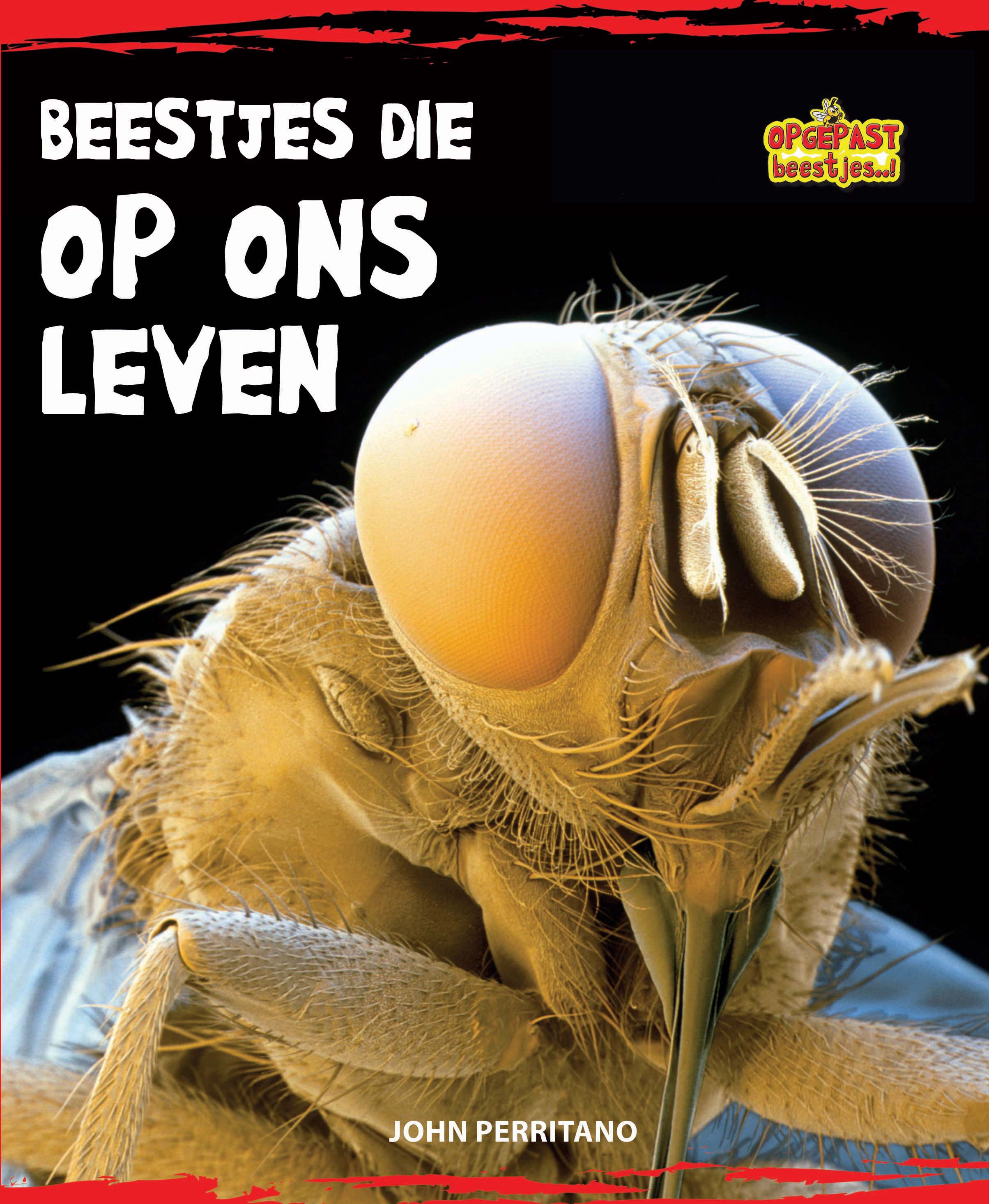 CNBOBJ003 Beestjes die op ons leven