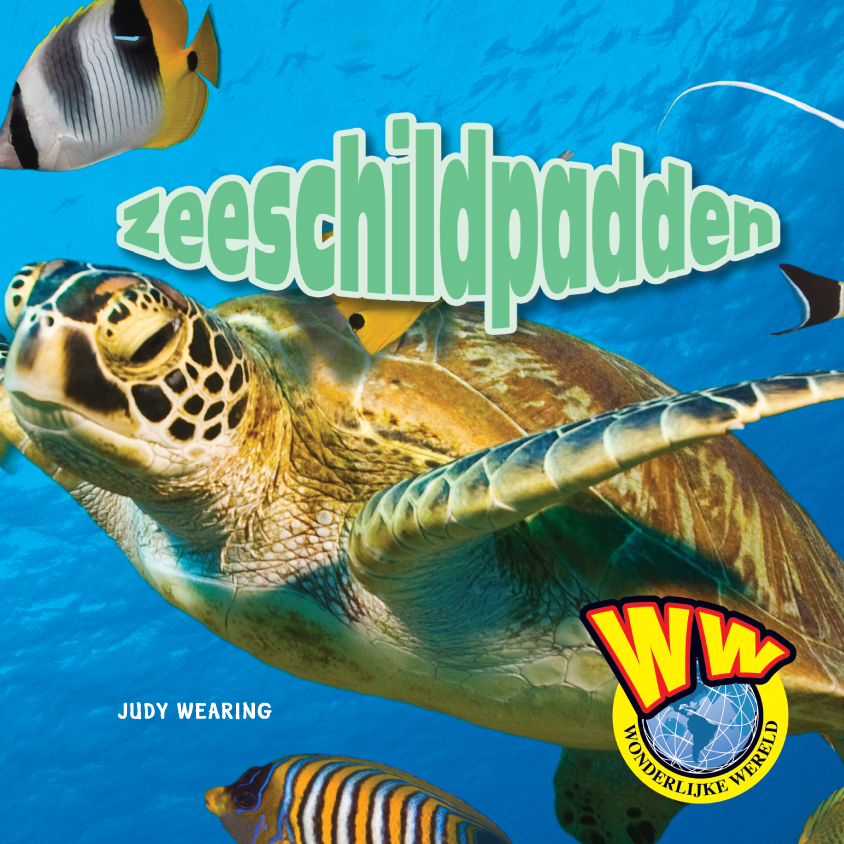 CNBWWE008 Zeeschildpadden