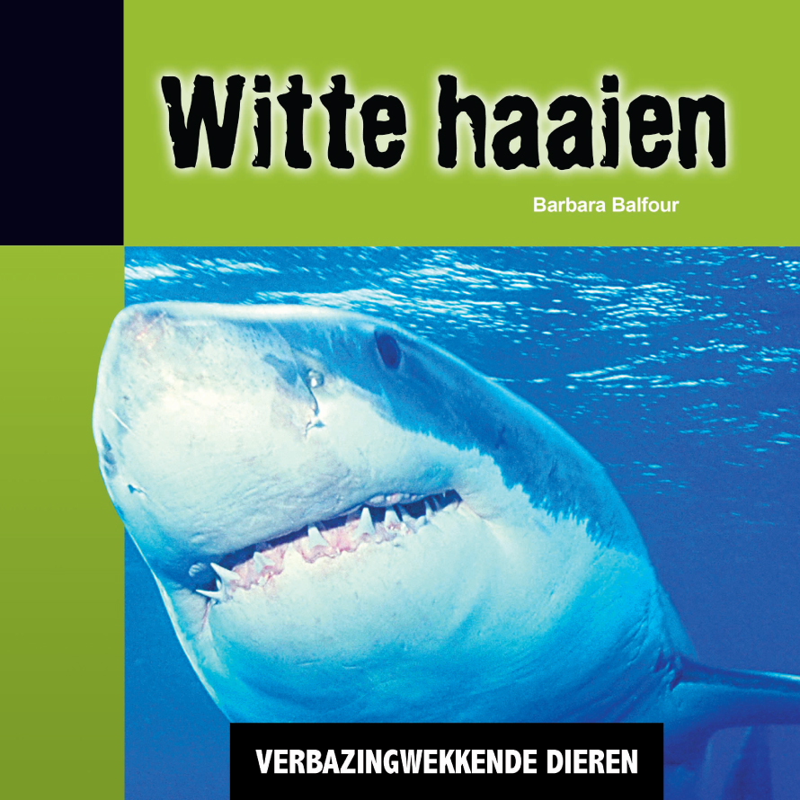 CNBVBA016 Witte Haaien