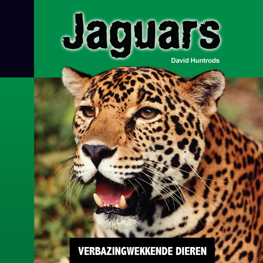 CNBVBA017 Jaguars