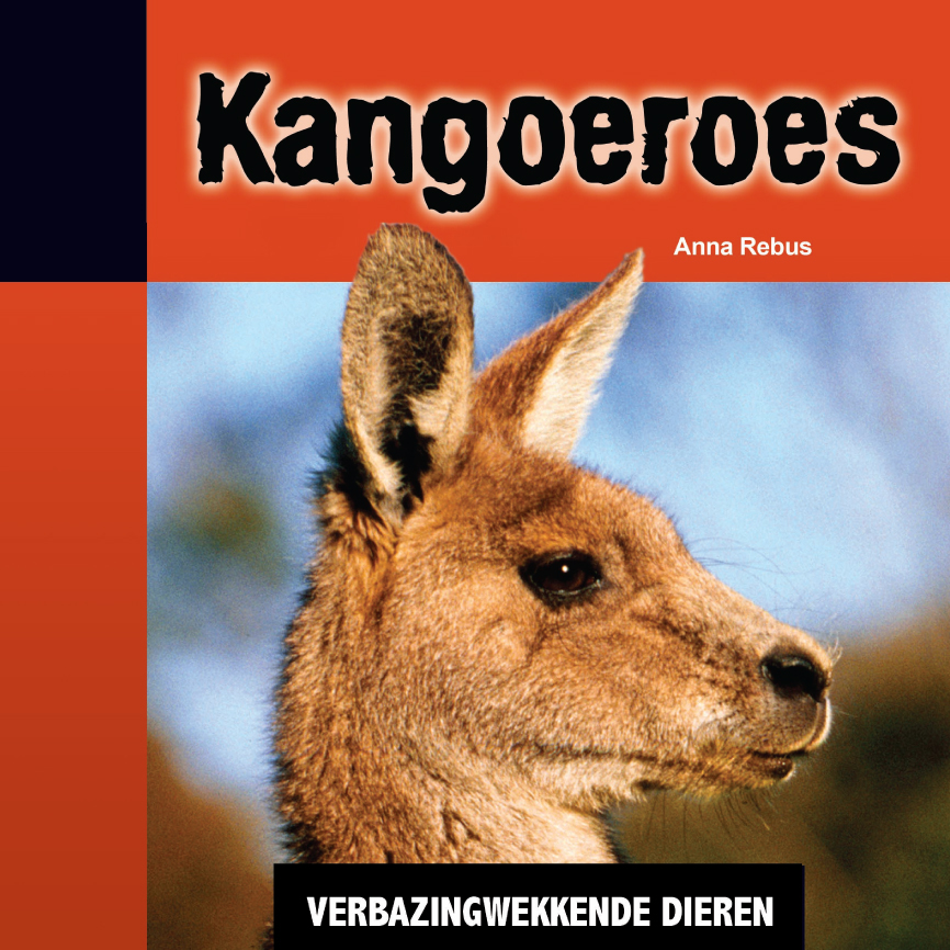 CNBVBA018 Kangoeroes