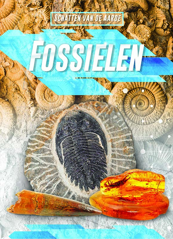 CNBSCA003 Fossielen
