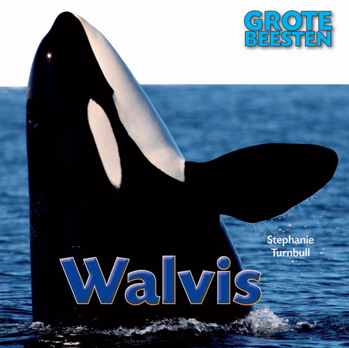 CNBGBE004 Walvis
