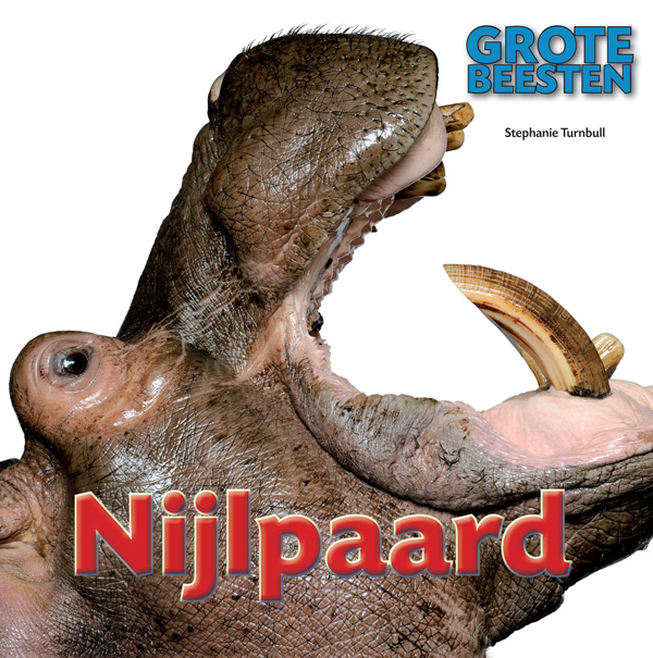 CNBGBE008 Nijlpaard