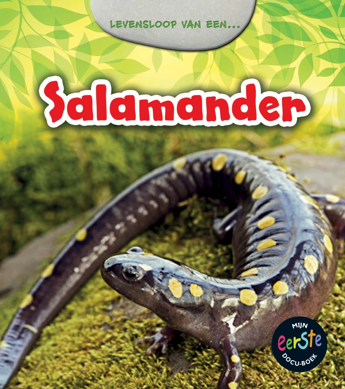 CNBMED157 Salamander