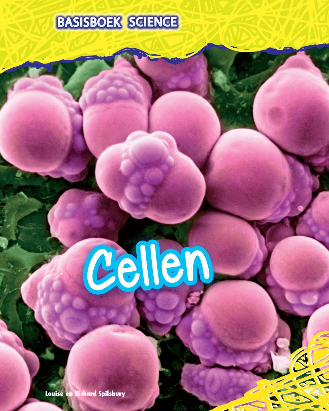 CNBBSB010 Cellen