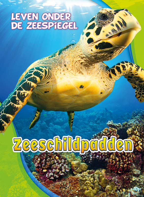 CNBLOZ105 Zeeschildpadden