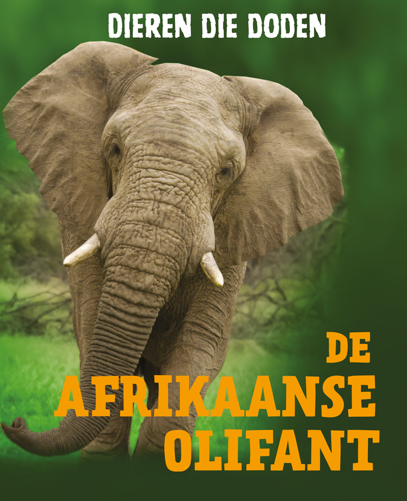CNBDDD004 De Afrikaanse olifant