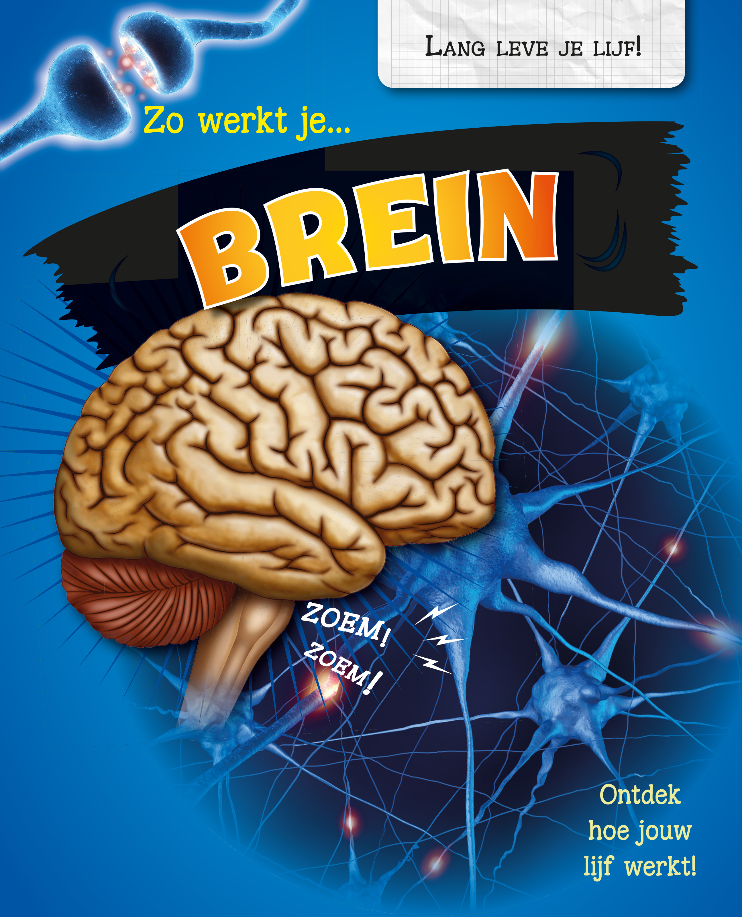 CNBLLL002 Zo werkt je brein