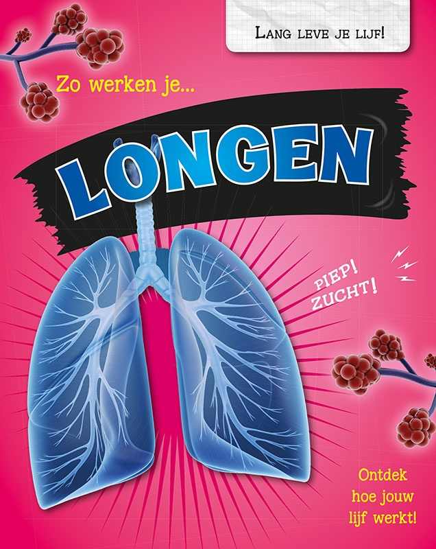 CNBLLL004 Zo werken je longen