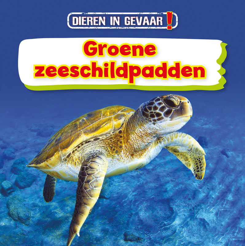CNBDIG003 Groene zeeschildpadden