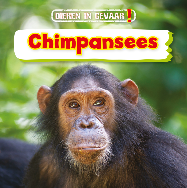 CNBDIG004 Chimpansees