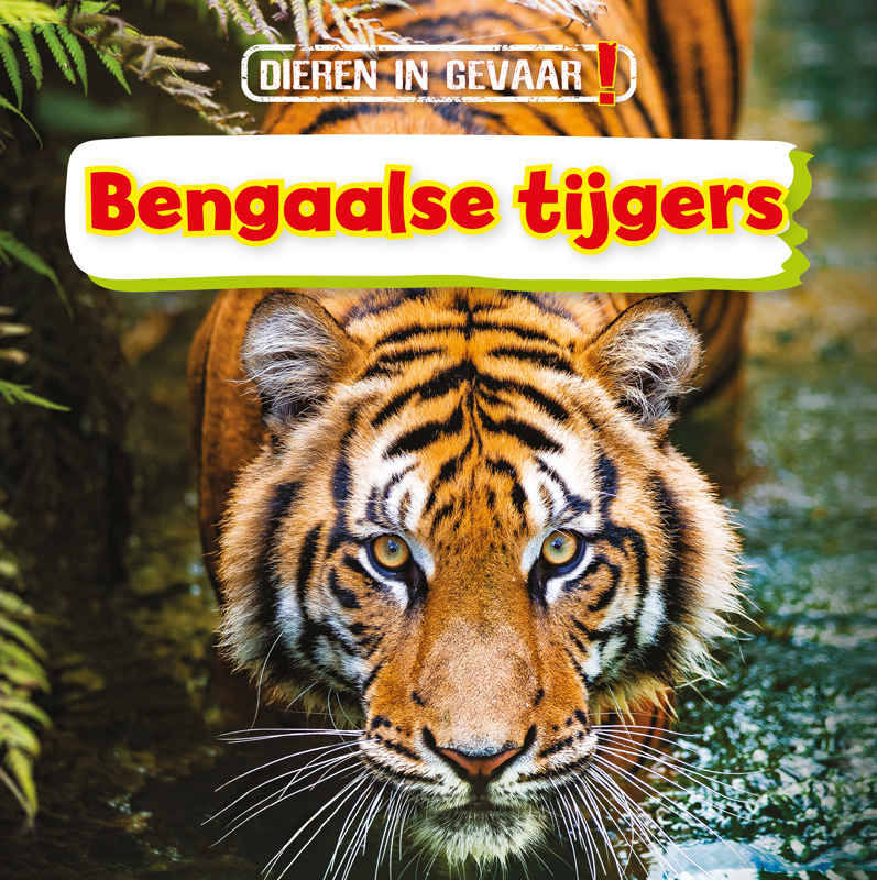 CNBDIG005 Bengaalse tijgers