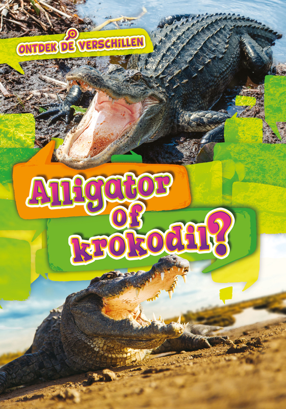 CNBVER004 Alligator of krokodil?