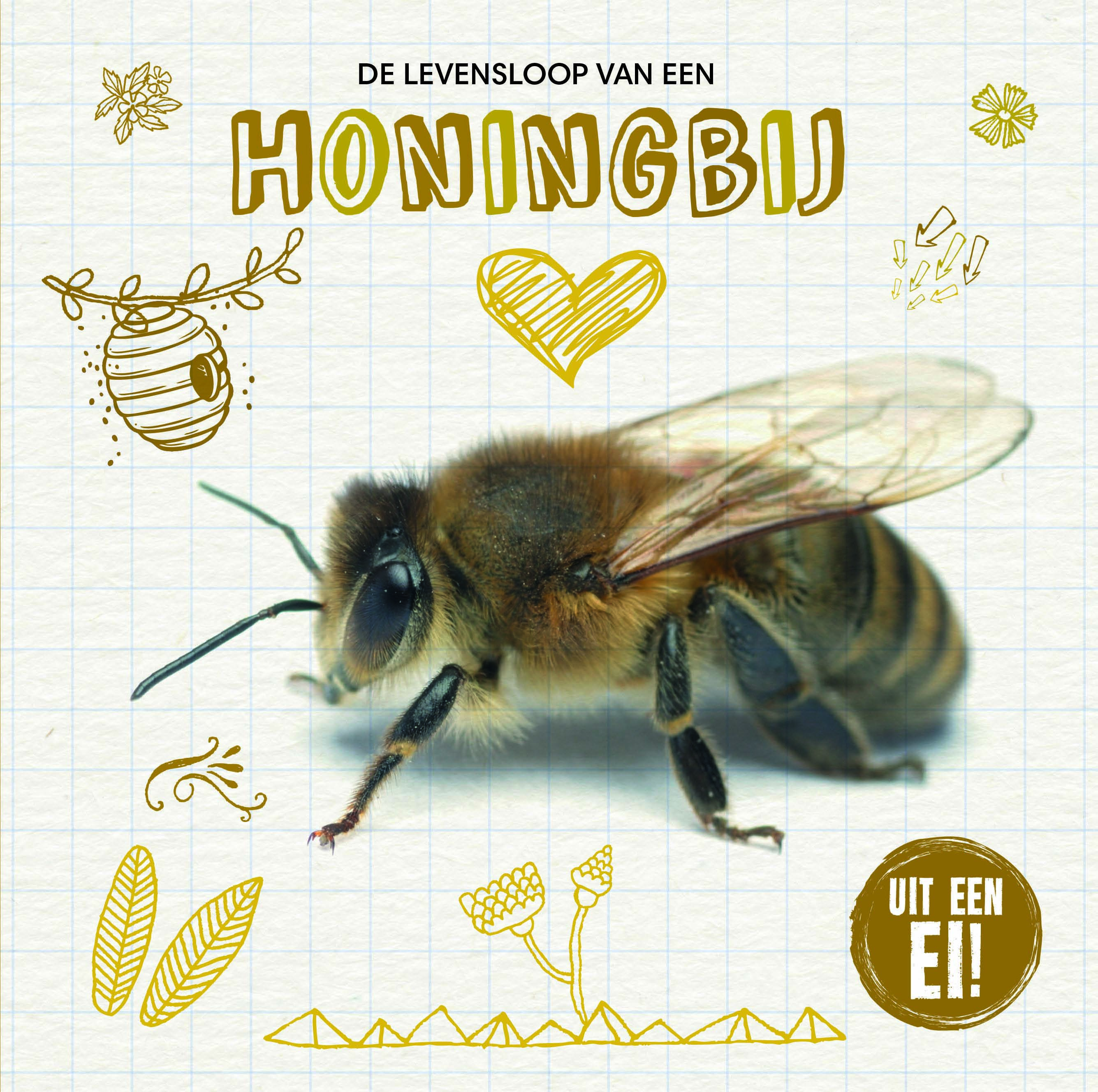 CNBUEI002 De levensloop van een honingbij