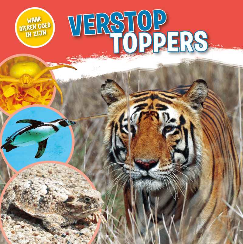 CNBDGZ003 Verstoptoppers
