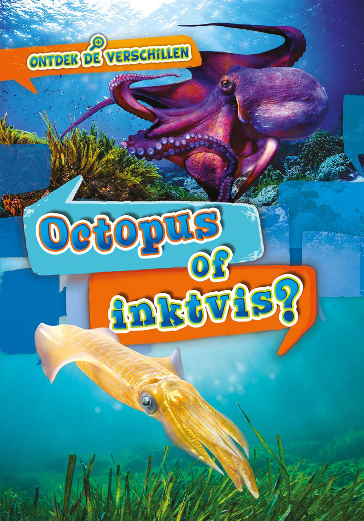 CNBVER007 Octopus of inktvis?