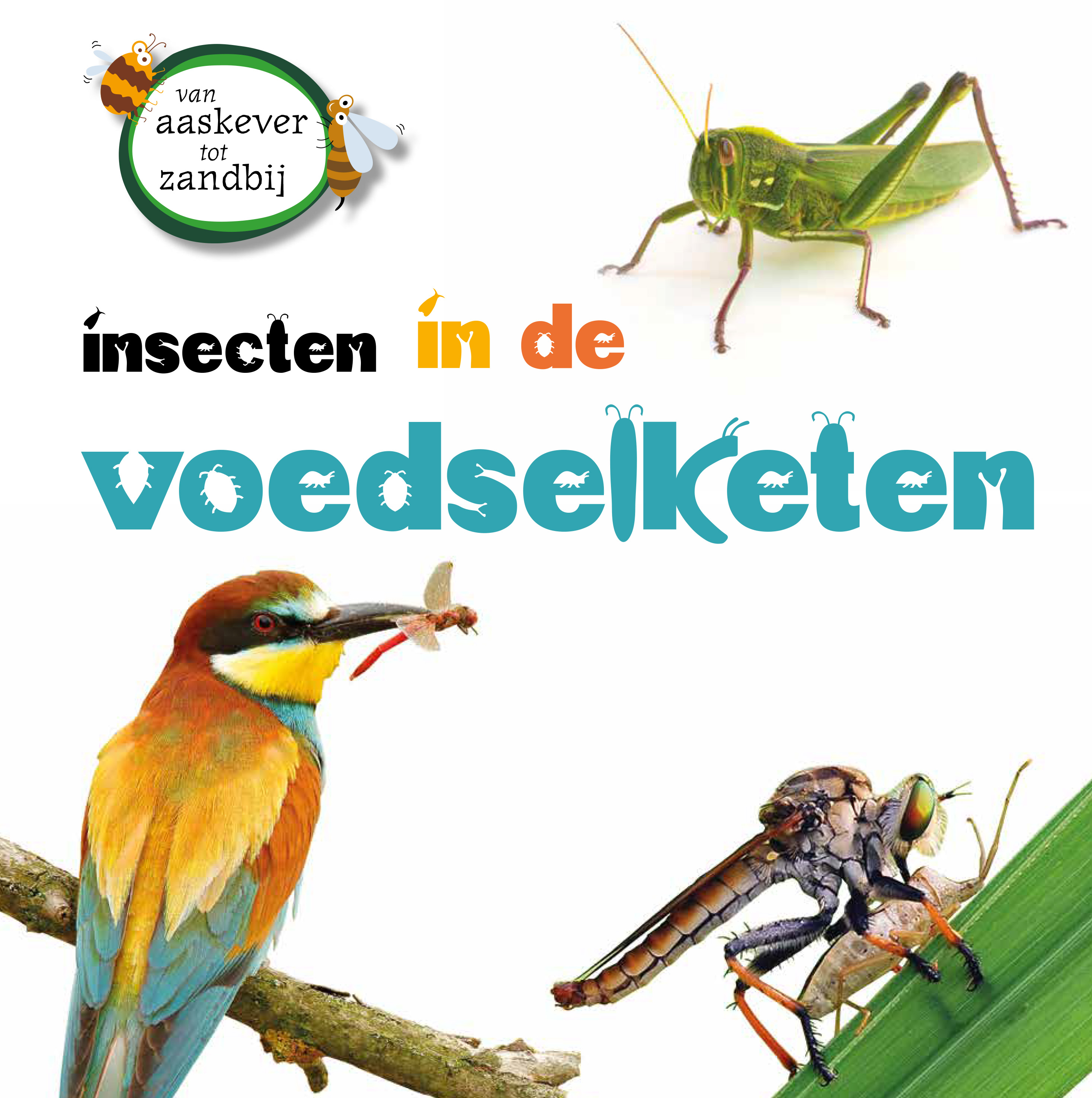 CNBVAZ003 Insecten in de voedselketen