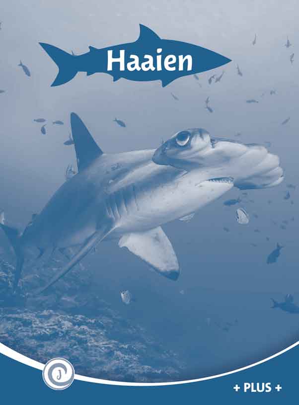 DNKJIN151 Haaien (plusboekje)