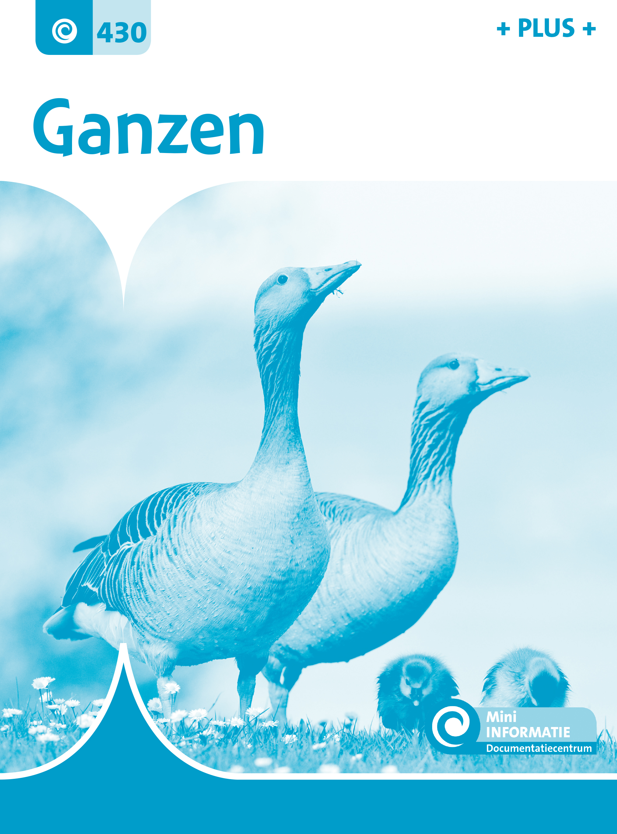 DNKMIN430 Ganzen (plusboekje)